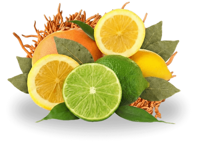 Sliced citrus with peel and leaves on white background