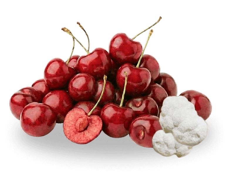 Fresh red cherries with lion's mane mushrooms on white background