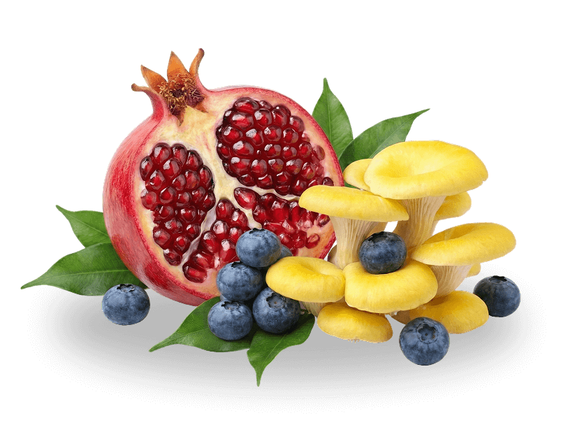 Pomegranate, blueberries, and yellow mushrooms arranged with green leaves on a black background.