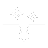 brain