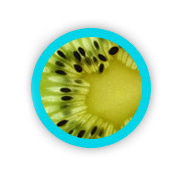 Papain &mdash; sliced papaya