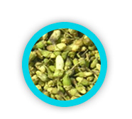 Rutin &mdash; green buds rich in the flavonoid rutin