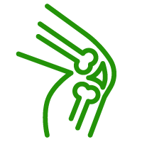 icon of knee joint