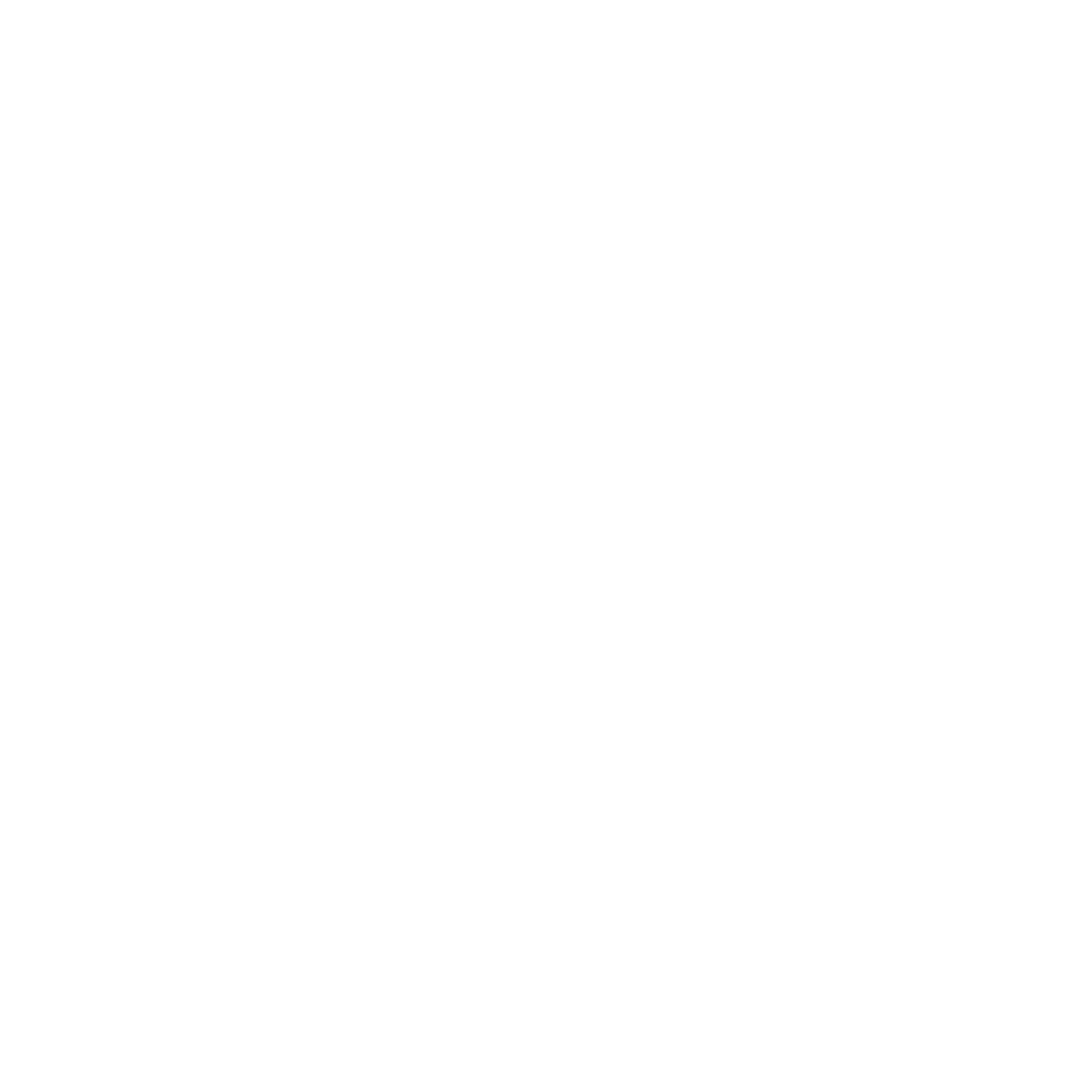 Rupert Neve Designs logo