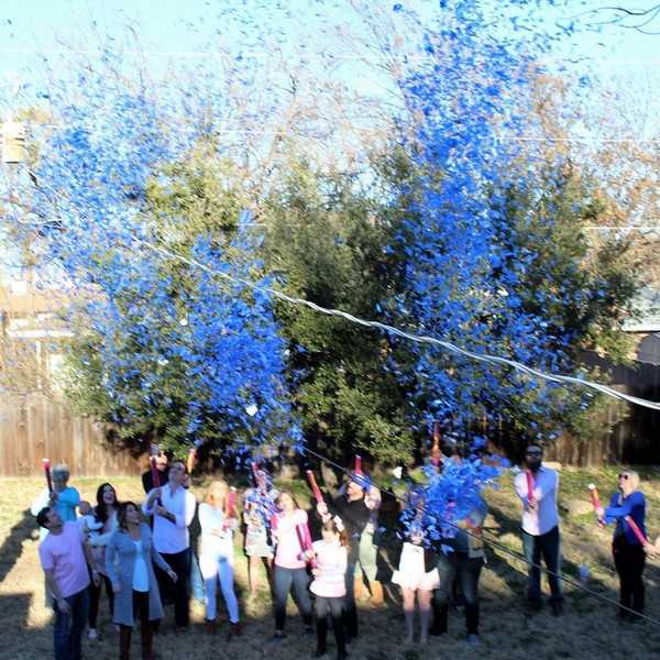 Confetti Cannon Sales and Rentals Confetti Cannon Store